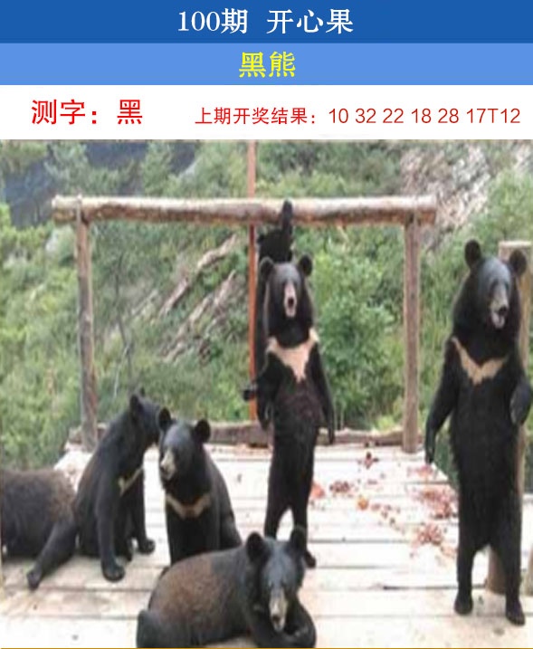 100期开心果[图]